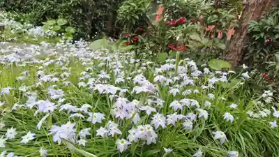 祐正寺(京都府)