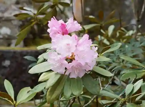 赤堂観音の自然