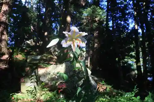 鹿島大神宮の自然