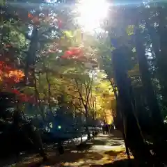 小國神社の周辺