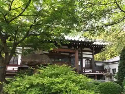 宝泉寺の本殿・本堂