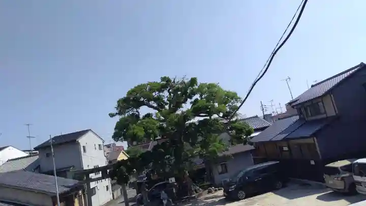 櫟谷七野神社(京都府)