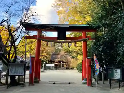 廣瀬大社(奈良県)