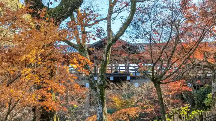 東福禅寺(東福寺)(京都府)