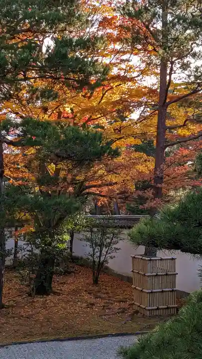 相国寺(相国承天禅寺)(京都府)