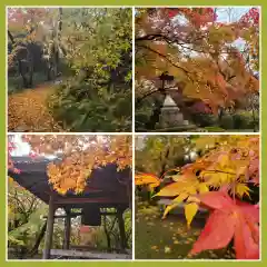 勝持寺（花の寺）(京都府)