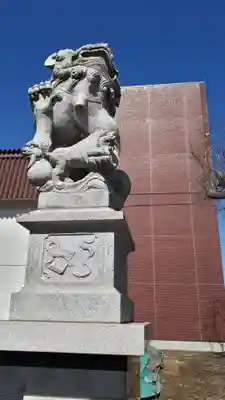 白老八幡神社の狛犬