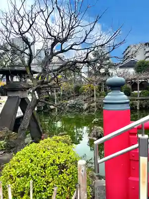 亀戸天神社(東京都)