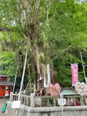 海南神社(神奈川県)