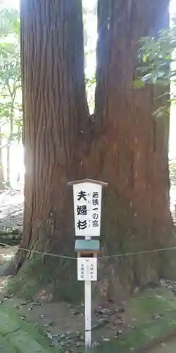 若狭彦神社（上社）の建物その他