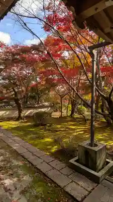 勝持寺（花の寺）(京都府)