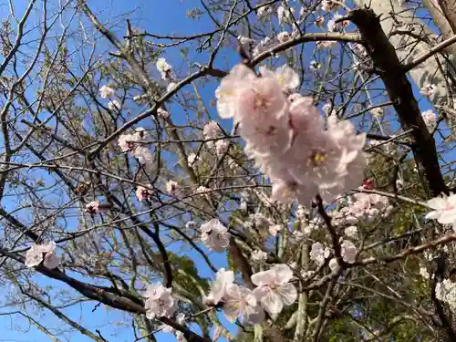 伊勢の国 四天王寺(三重県)