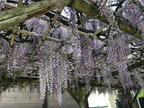 福島稲荷神社(福島県)