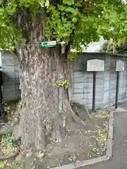 法禅寺(東京都)