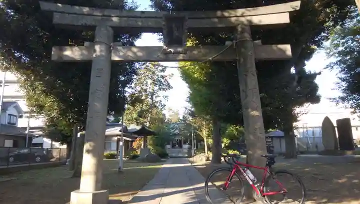 蓮根氷川神社の鳥居