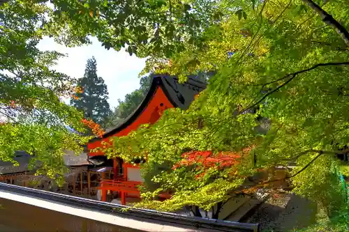 出雲大神宮の本殿