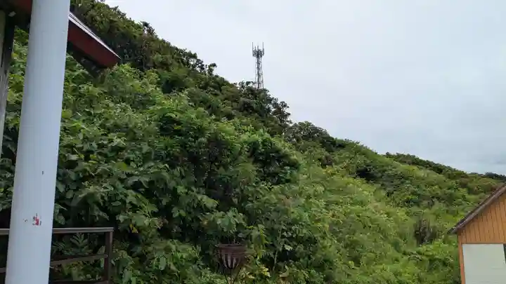 小平神社の自然