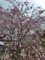 八幡神社(埼玉県)