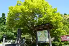 土津神社｜こどもと出世の神さまの景色