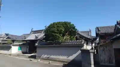 光明寺(大阪府)