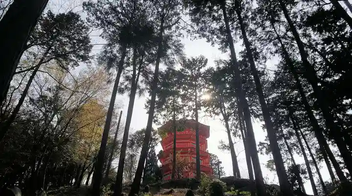 金乗院放光寺のその他建物