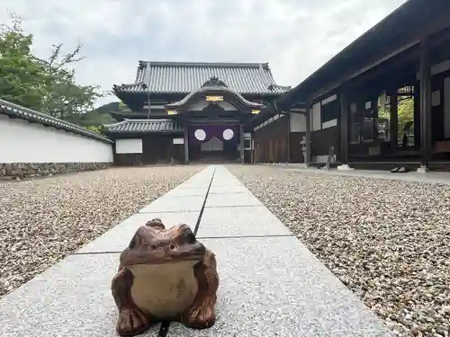 金剛寺(大阪府)