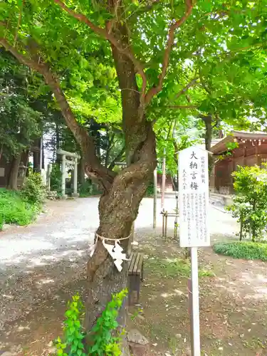 北野天神社の自然
