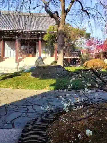 圓照寺(東京都)