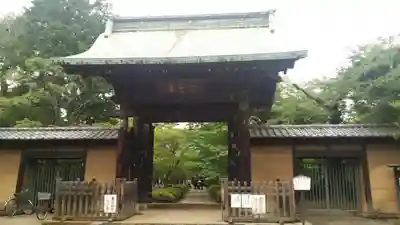 豪徳寺の山門・神門