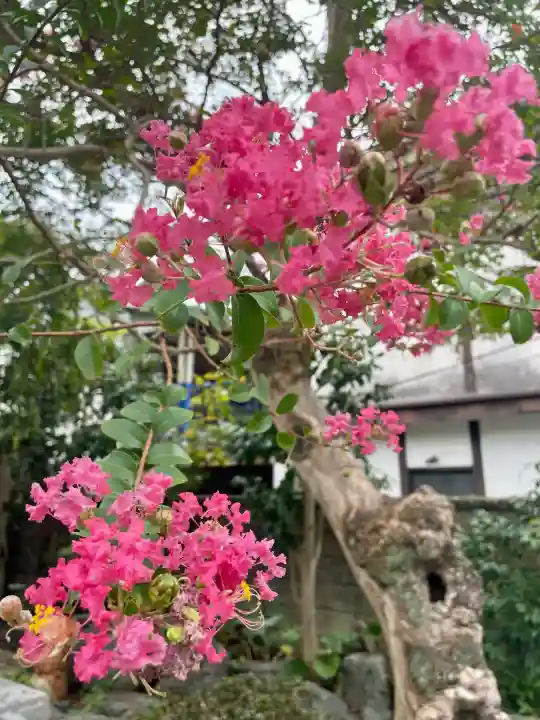 惣善寺(福島県)