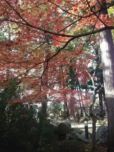 妙安寺の庭園