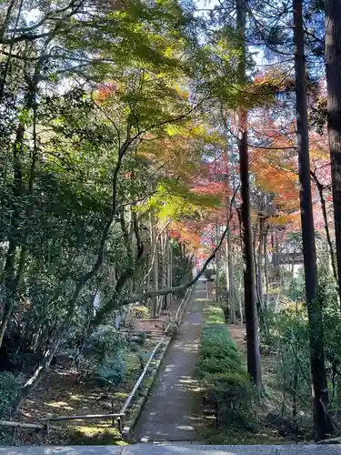 龍潭寺の建物その他