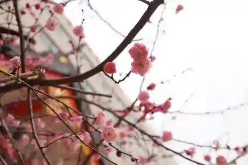 花園神社の自然