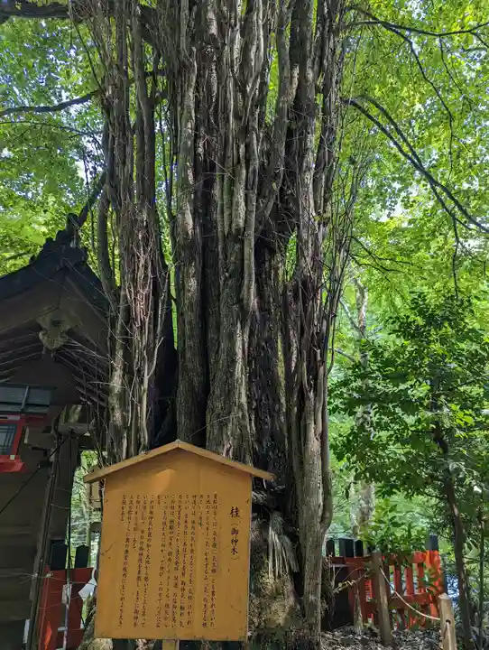 貴船神社(京都府)
