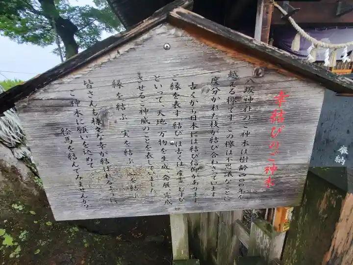 守谷総鎮守 八坂神社(茨城県)