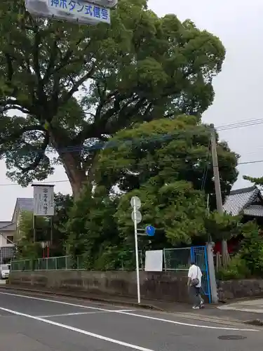 髙木八幡宮の自然