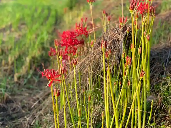 伊勢の国 四天王寺(三重県)
