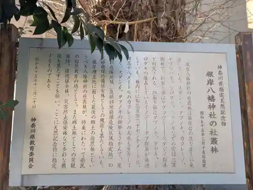 根岸八幡神社(神奈川県)