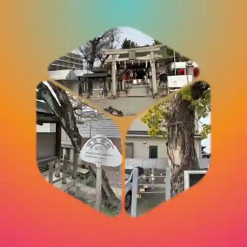 白井神社の鳥居