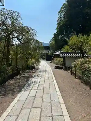 長谷寺(奈良県)