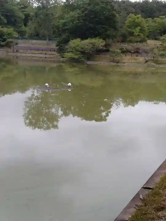 雷神社(宮城県)