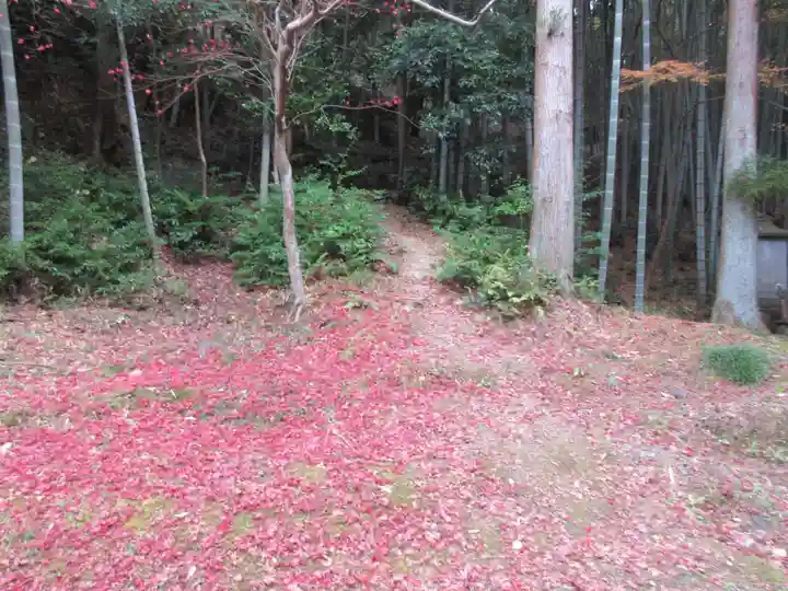 今熊野観音寺(京都府)