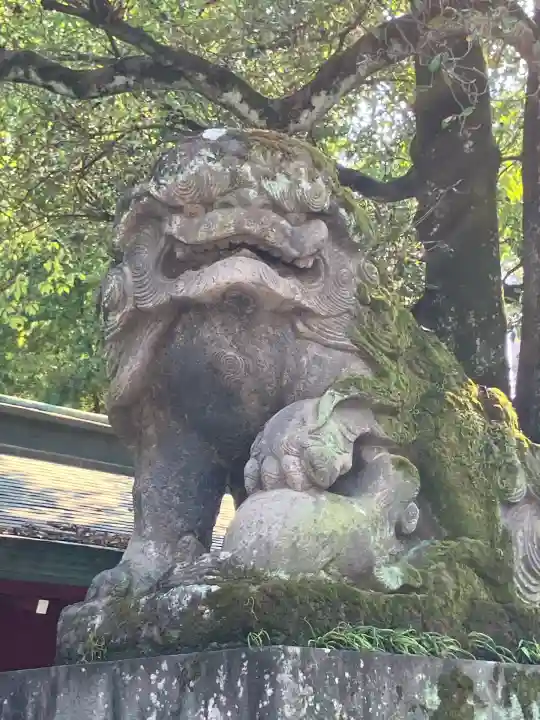 大國魂神社(東京都)
