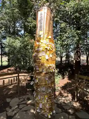 下野 星宮神社(栃木県)