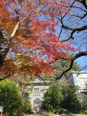 寶泉寺（宝泉寺）(東京都)