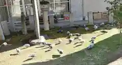 安積國造神社(福島県)