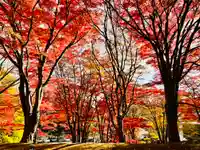 土津神社|こどもと出世の神さまの自然