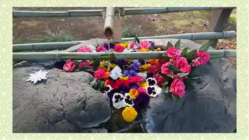 馬場氷川神社(埼玉県)