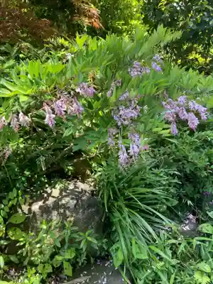 大巧寺(神奈川県)