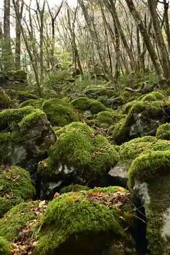 黒松寺(徳島県)
